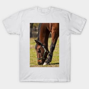 Feeding Time T-Shirt